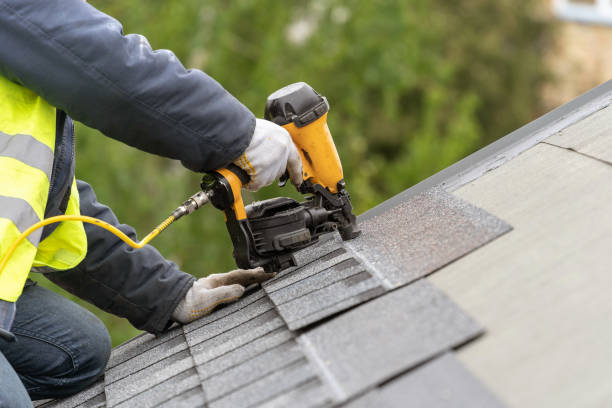 Best Skylight Installation and Repair  in Fayette, LA