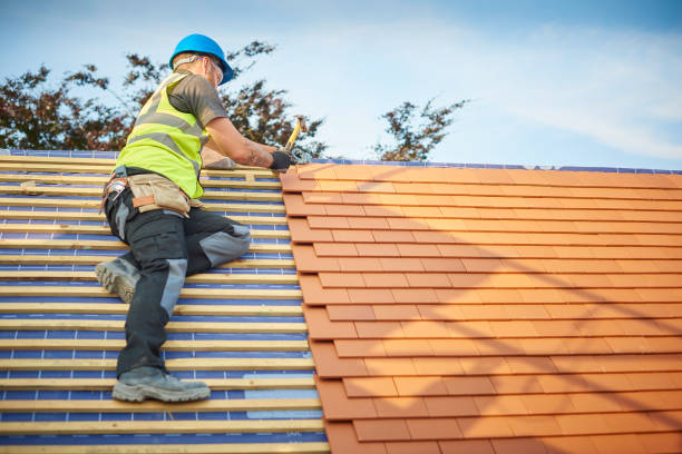 Best Roof Insulation Installation  in Fayette, LA